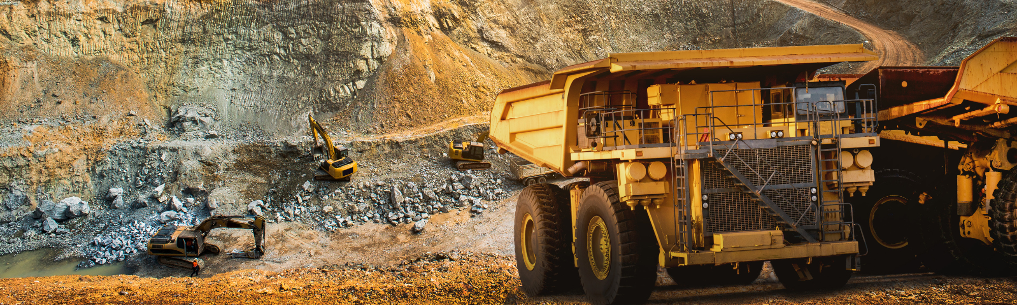 Servicios Especializados